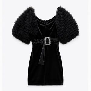 ZARA Velvet Dress